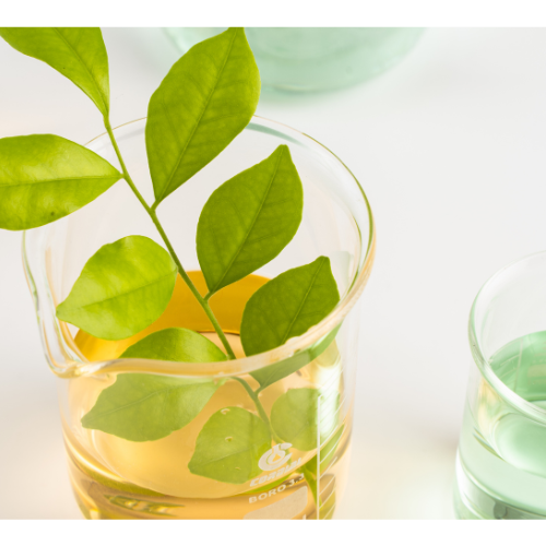 Unlock Your Potential: 3 Surprising Benefits of Yoga Backed by Science